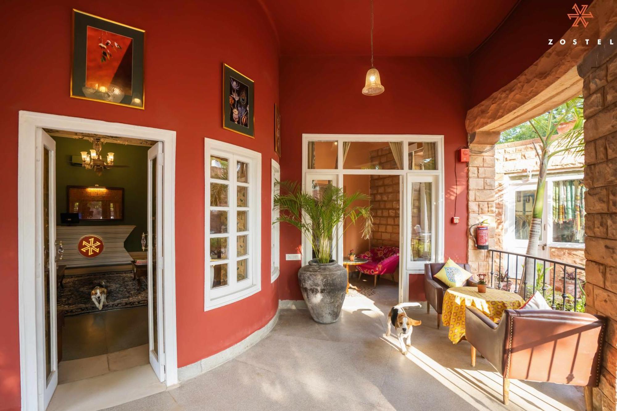 Zostel Jodhpur Hostel Jodhpur  Bagian luar foto